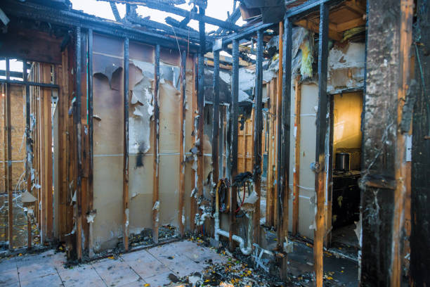 Professional Fire Damage Removal technician working in Iva, SC